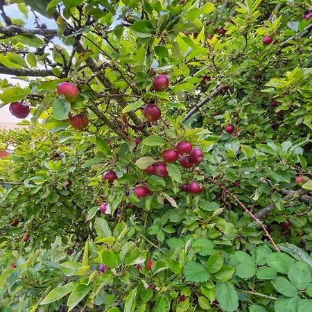 Magh - 9-8km From The Sea By Interhome * Tønder