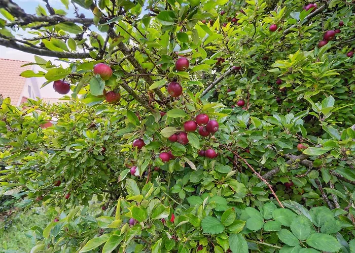 Magh - 9-8km From The Sea By Interhome * Tønder